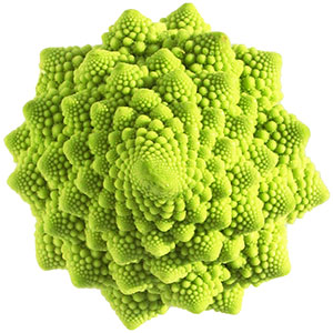 Proporción fractal en col Romanescu