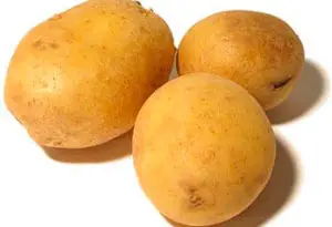 fécula de patata para fabricar bolsas biodegradables