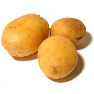 patatas fécula de patata para fabricar bolsas biodegradables