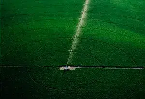 ventajas comparativas del riego con Pivot