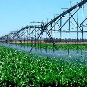 riego por aspersión mediante Pivote