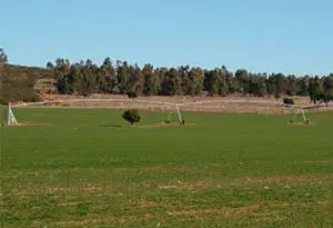 transformación a regadío con Pivot