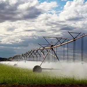 impulso a la productividad agrícola con riego Pivot