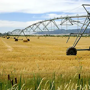 el Pivote reduce el consumo de agua y la mano de obra