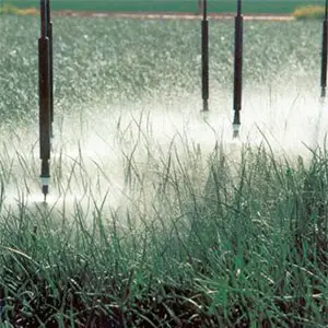 ahorrar agua en el riego por aspersión