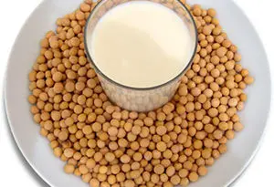 bebidas vegetales de trigo, avena, arroz y soja