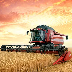 cereales perennes técnicas agrícolas frente al cambio climático