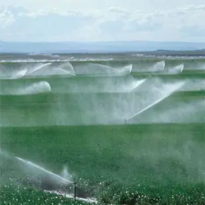 diseño de aspersión fija y Pivot