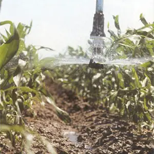 velocidad de infiltración en distintas texturas de suelo