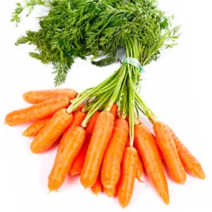 nuevas formas de procesar la zanahoria para su consumo