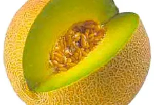 producción de biocombustible a partir del melón