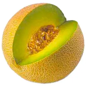 producción de biocombustible a partir del melón