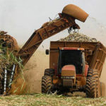 Producción de etanol a partir de caña de azúcar