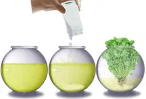 extraer fertilizante de la orina