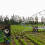 Hidrante en parcela y riego mediante Pivot