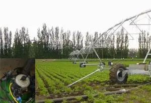 hidrante en parcela y riego mediante Pivot