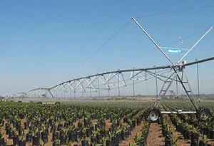 cultivo de palma de aceite con Pivot