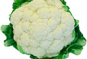 la coliflor, hortícola rentable