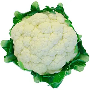 cultivo de coliflor la coliflor, hortícola rentable