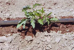 tubo poroso de riego exudante