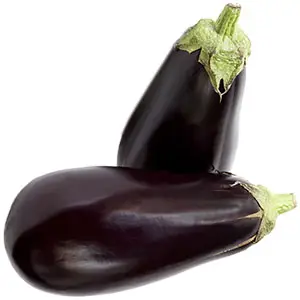 la berenjena es un cultivo interesante cultivo de berenjena para el mercado en fresco e industrial