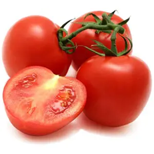 alta rentabilidad en el cultivo de tomate