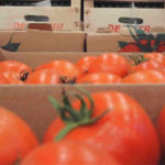 Enfriar rápidamente y mantener en frío el fruto cosechado
