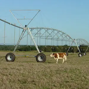 conversión de materia seca a litros de leche