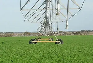 la alfalfa se adapta a la oferta del agua existente