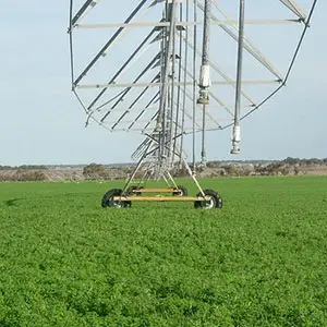 la alfalfa se adapta a la oferta del agua existente