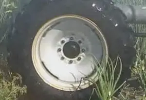 riego por aspersión mediante Pivotes centrales en cultivo de cebolla