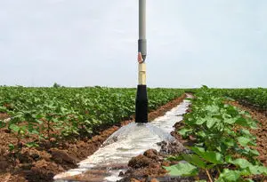 Low Energy Precision Application