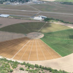 Imaginación y nuevas alternativas en la agricultura