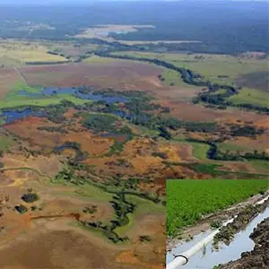 drenaje en suelos salinos suelos salinos