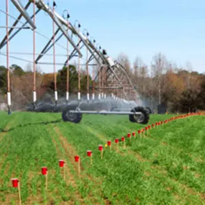 planificación en el riego el riego