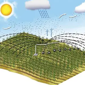 transpiración con Pivots transpiración