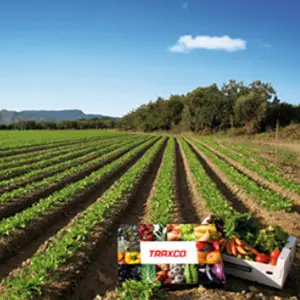 venta directa del agricultor al consumidor