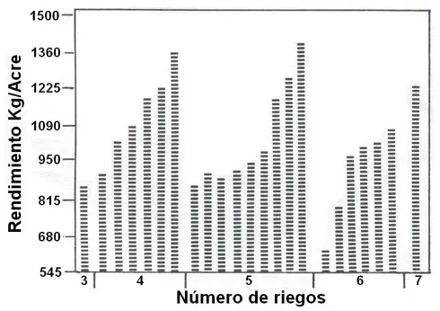 Producción de frijoles según el riego Producción de frijoles asociada al número de riegos