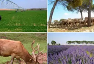 de la tierra a la mesa