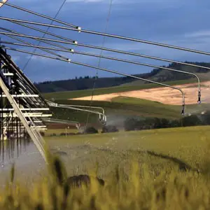 solución contra el problema de rodera problema de rodera