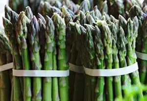 espárrago