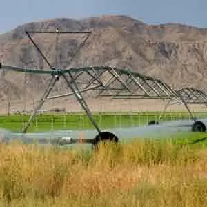 fertilizante líquido para fertirriego fertilizante líquido