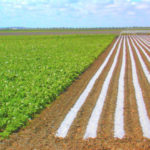 agricultura y agua de riego