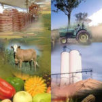 desarrollo en el medio rural