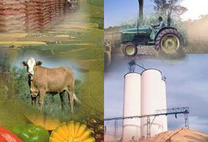 desarrollo rural