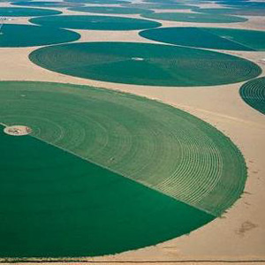 círculos verdes formados por pivotes de riego