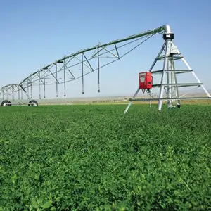 cultivos intermedios de alfalfa cultivos intermedios