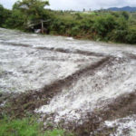 encalado para corregir el exceso de acidez del suelo