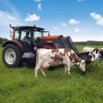 Combustibles procedentes de residuos agrícolas