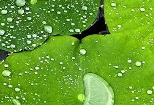 inventos de la historia